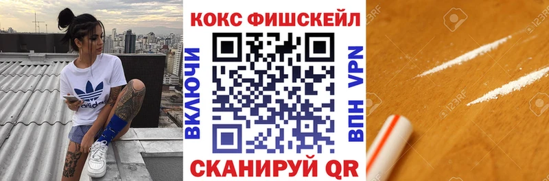 Кокаин Fish Scale  купить закладку  Черноголовка 