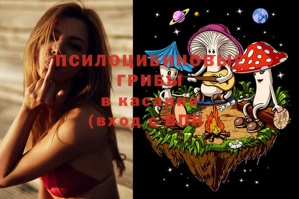 каннабис Арсеньев