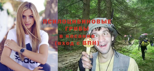 каннабис Арсеньев