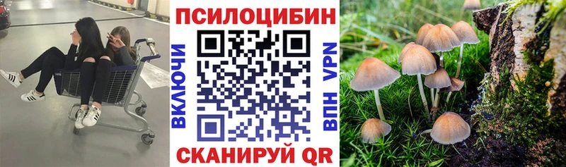 Галлюциногенные грибы Magic Shrooms Черноголовка
